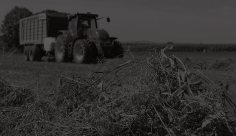 Grassilage: Claas Ladewagen