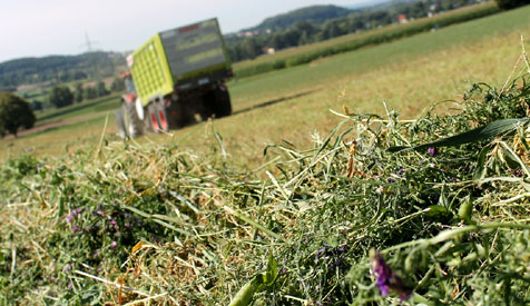 Grassilage: Claas Ladewagen