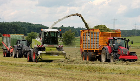 Grassilage: Claas Ladewagen