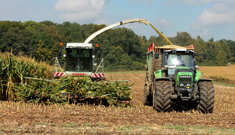 Maissilage/Maisernte