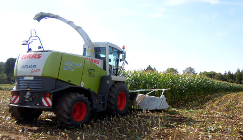 Maissilage/Maisernte
