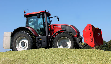 Maissilage/Maisernte