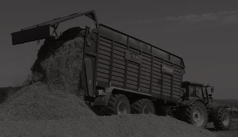 Maissilage