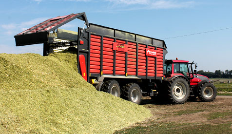 Maissilage/Maisernte