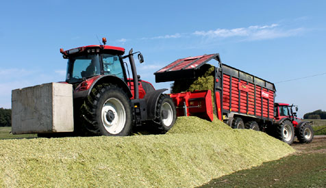 Maissilage/Maisernte