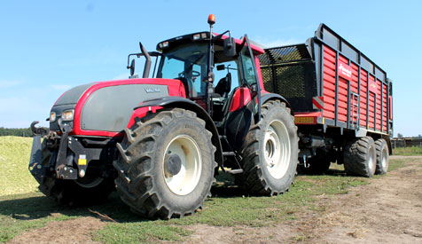 Maissilage/Maisernte