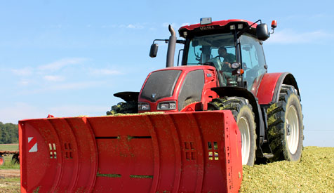 Maissilage/Maisernte