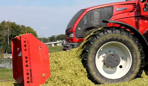 Maissilage/Maisernte